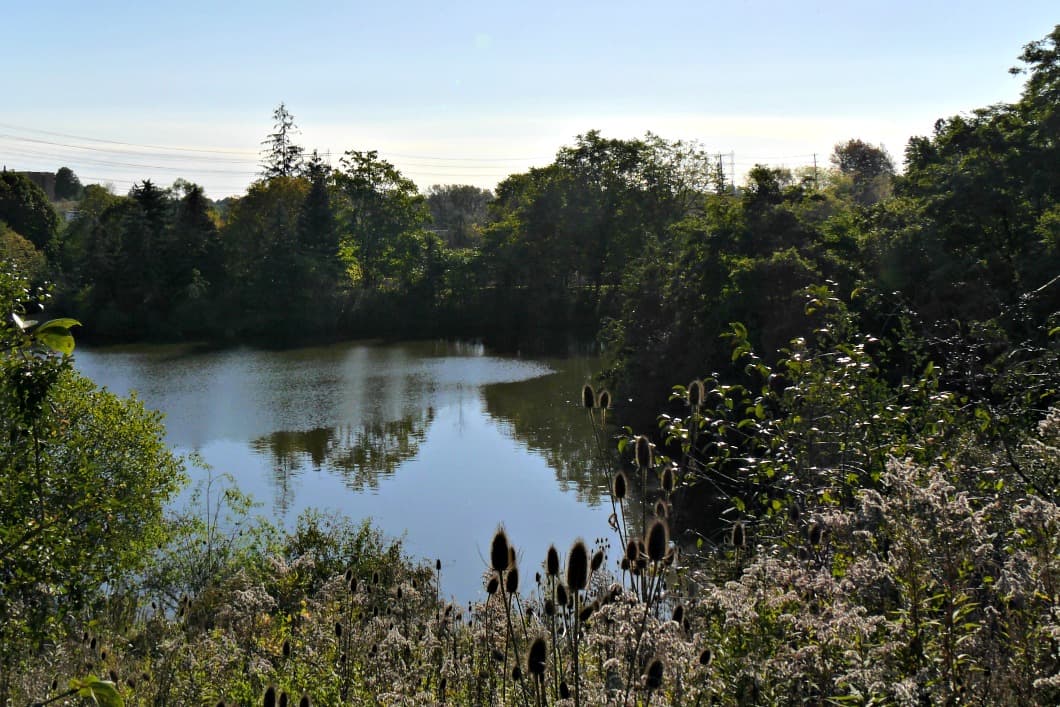 Humber Pond Revitalization