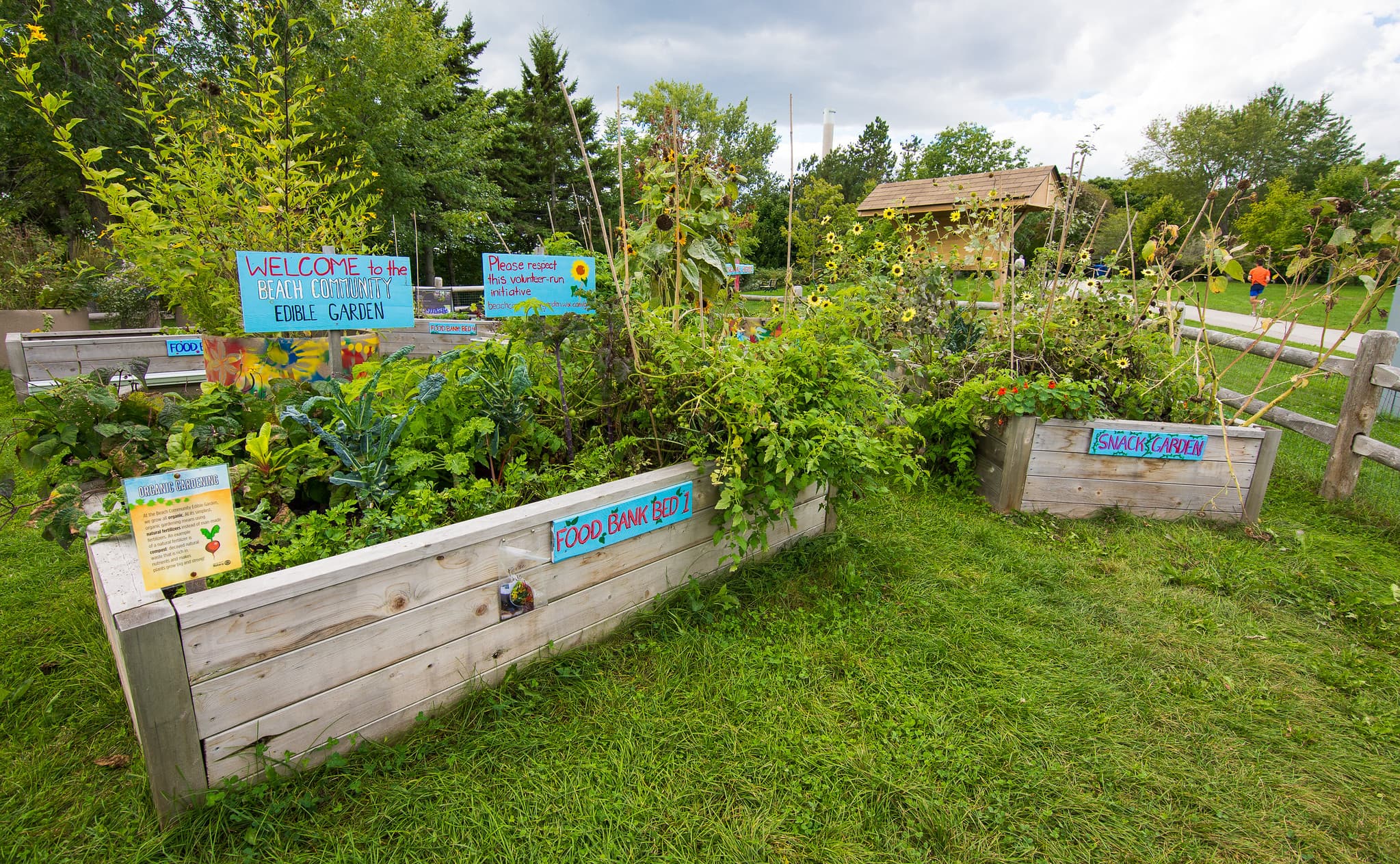 Beach Community Edible Garden